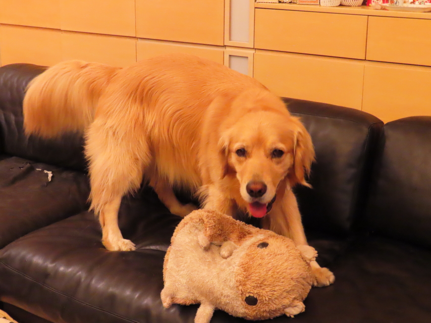 ファイル 8353-2.jpg