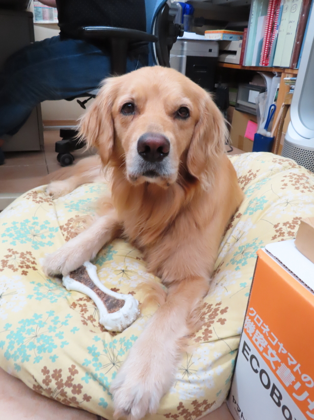 ファイル 8353-5.jpg