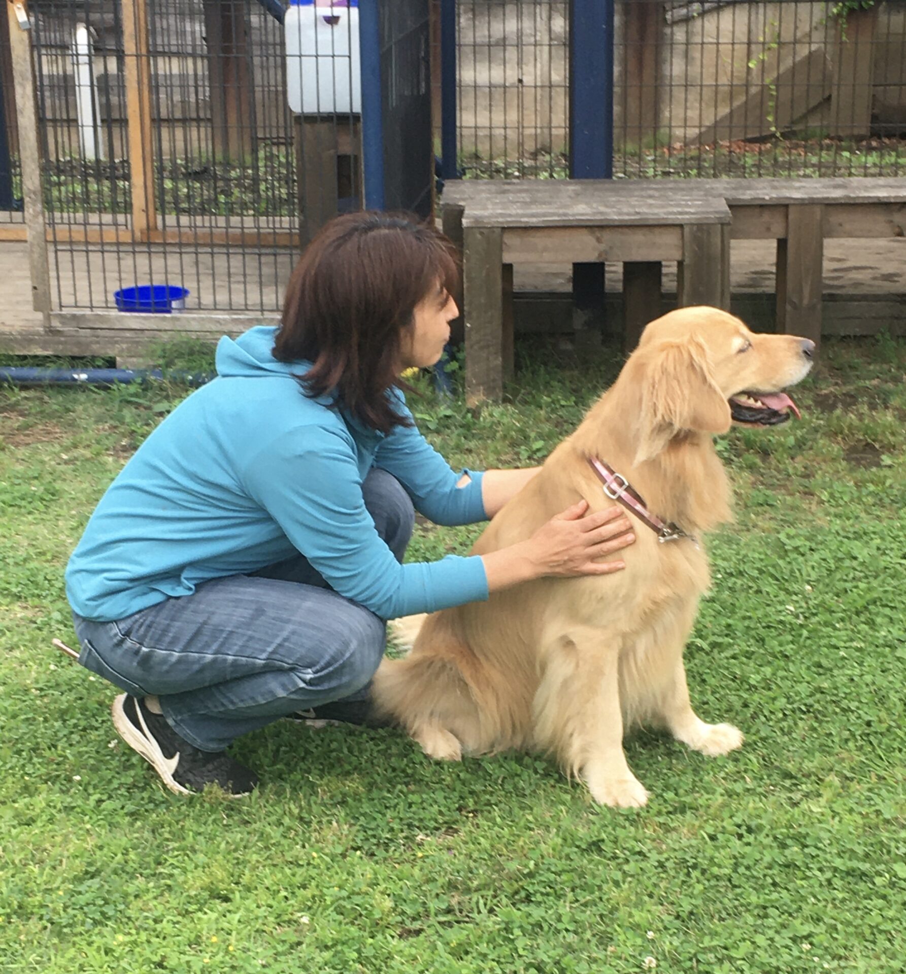 ファイル 8356-5.jpeg