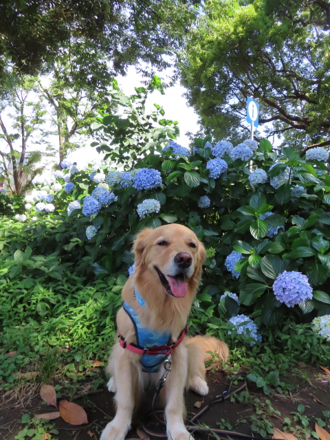 ファイル 8357-1.jpg