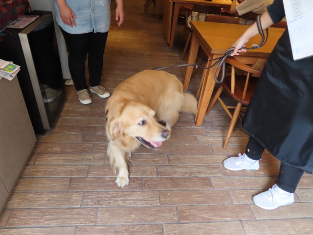 ファイル 8357-3.jpg