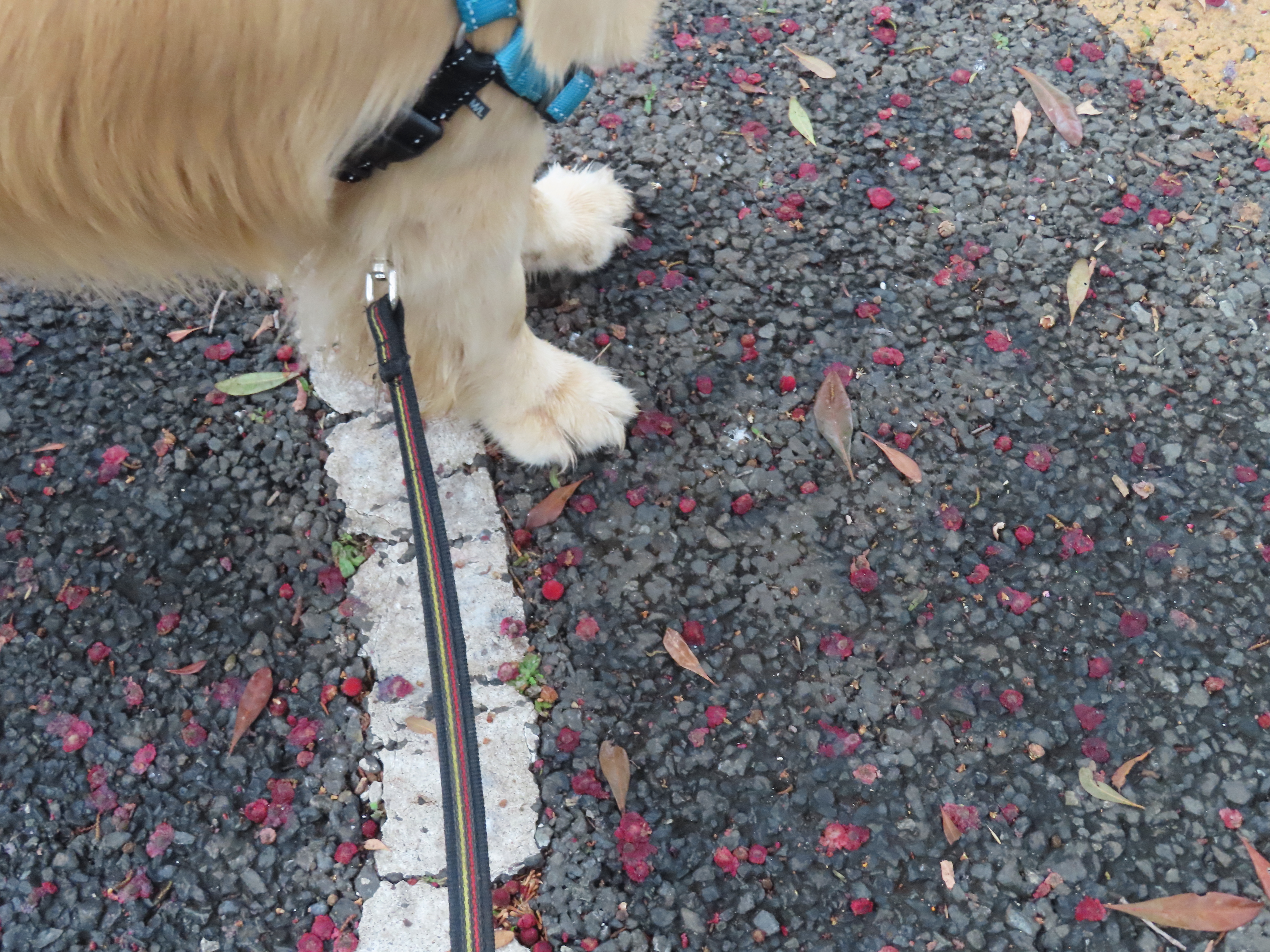 ファイル 8358-5.jpg