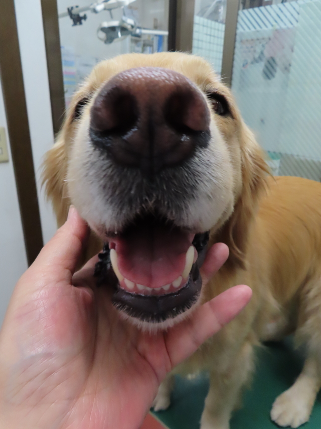 ファイル 8359-1.jpg