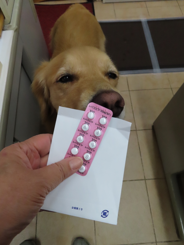 ファイル 8359-2.jpg