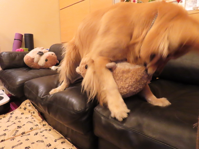 ファイル 8359-5.jpg