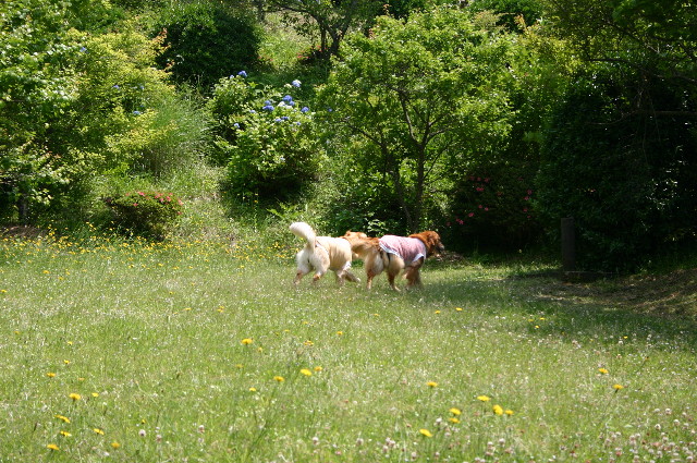 ファイル 836-2.jpg