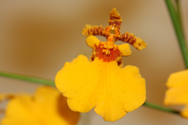 ファイル 836-3.jpg