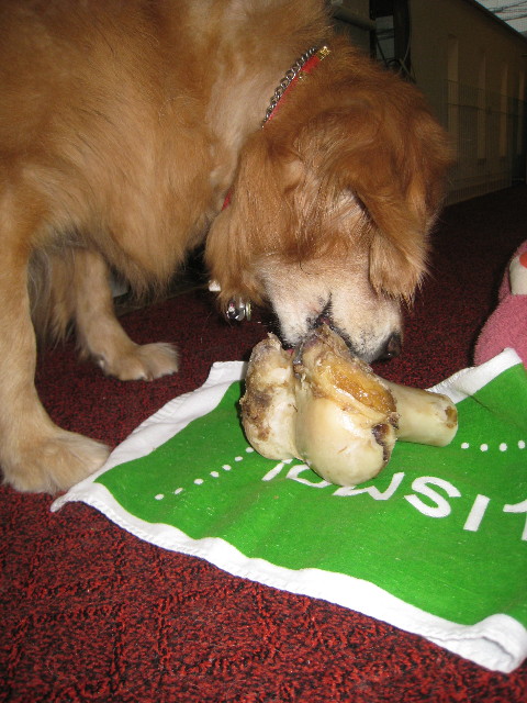 ファイル 836-4.jpg