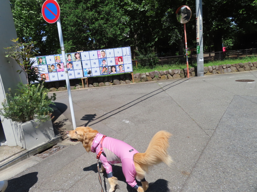 ファイル 8361-1.jpg