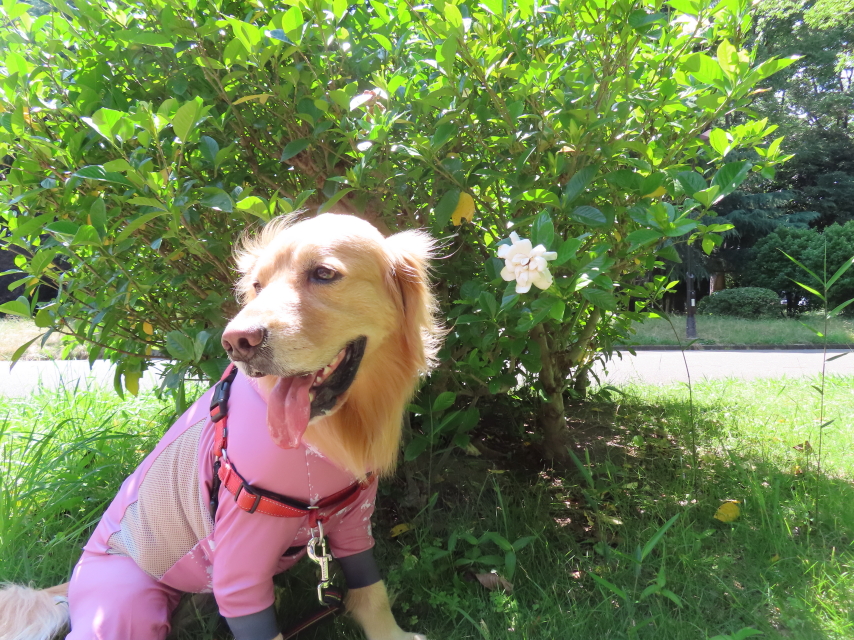 ファイル 8361-4.jpg