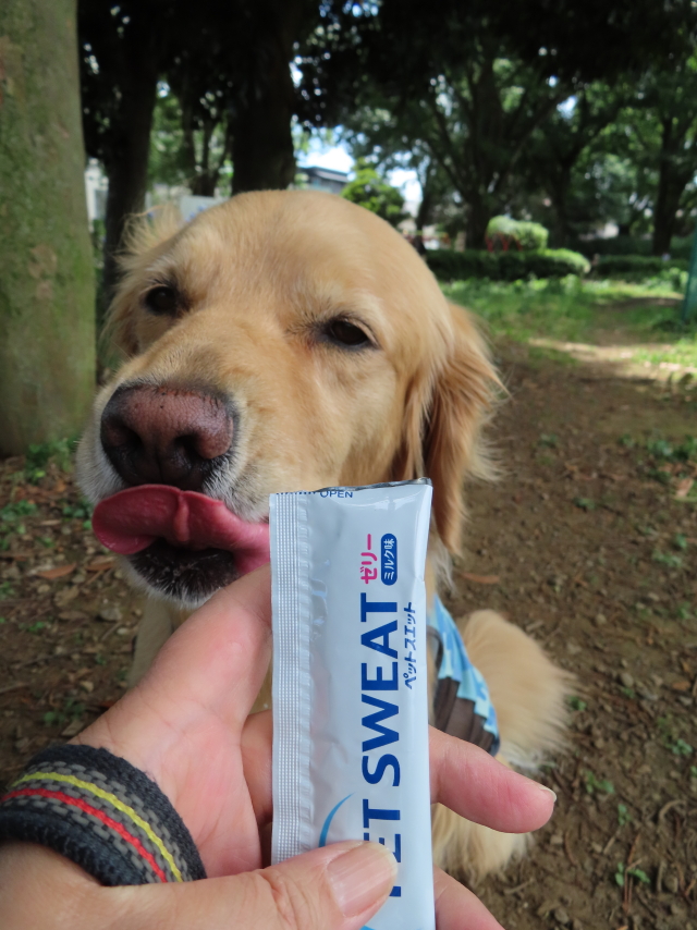 ファイル 8362-3.jpg