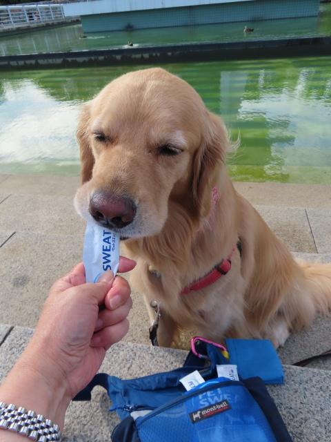 ファイル 8362-4.jpg