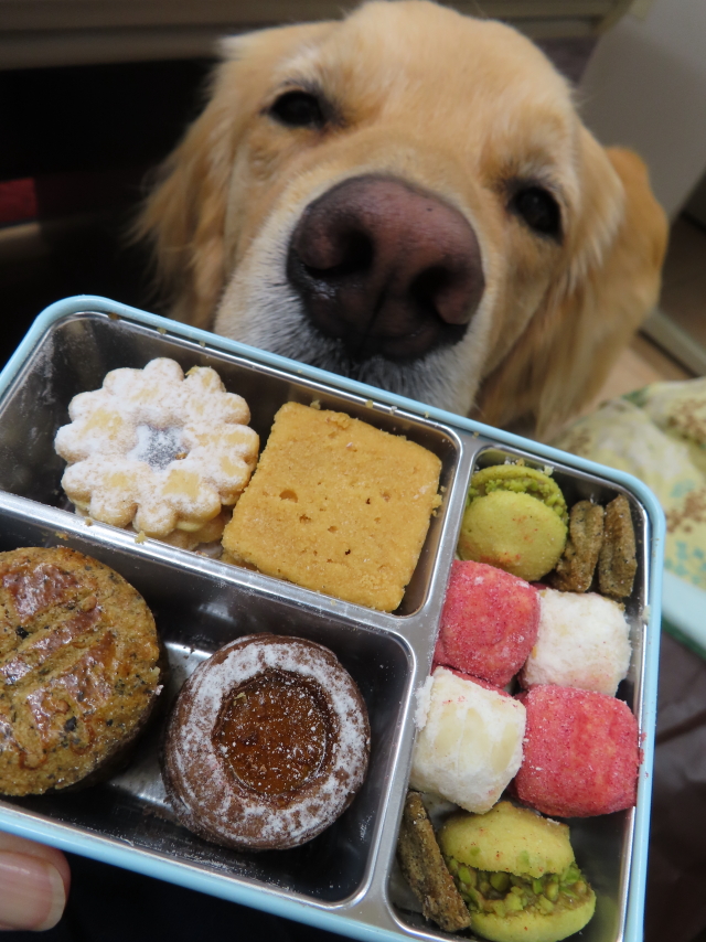 ファイル 8362-5.jpg