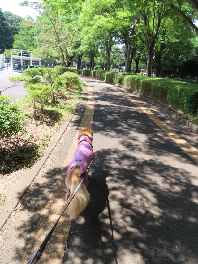 ファイル 8363-1.jpg