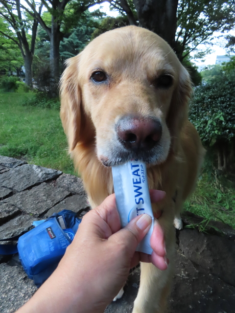 ファイル 8363-2.jpg