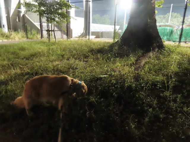 ファイル 8363-5.jpg