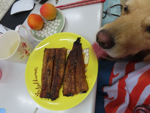 ファイル 8365-3.jpg