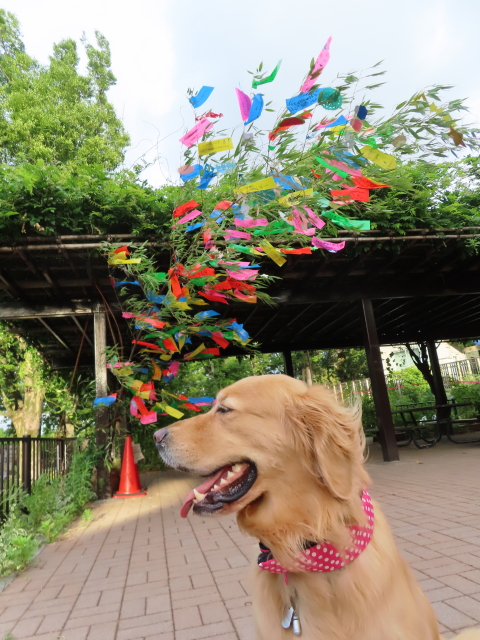 ファイル 8367-2.jpg