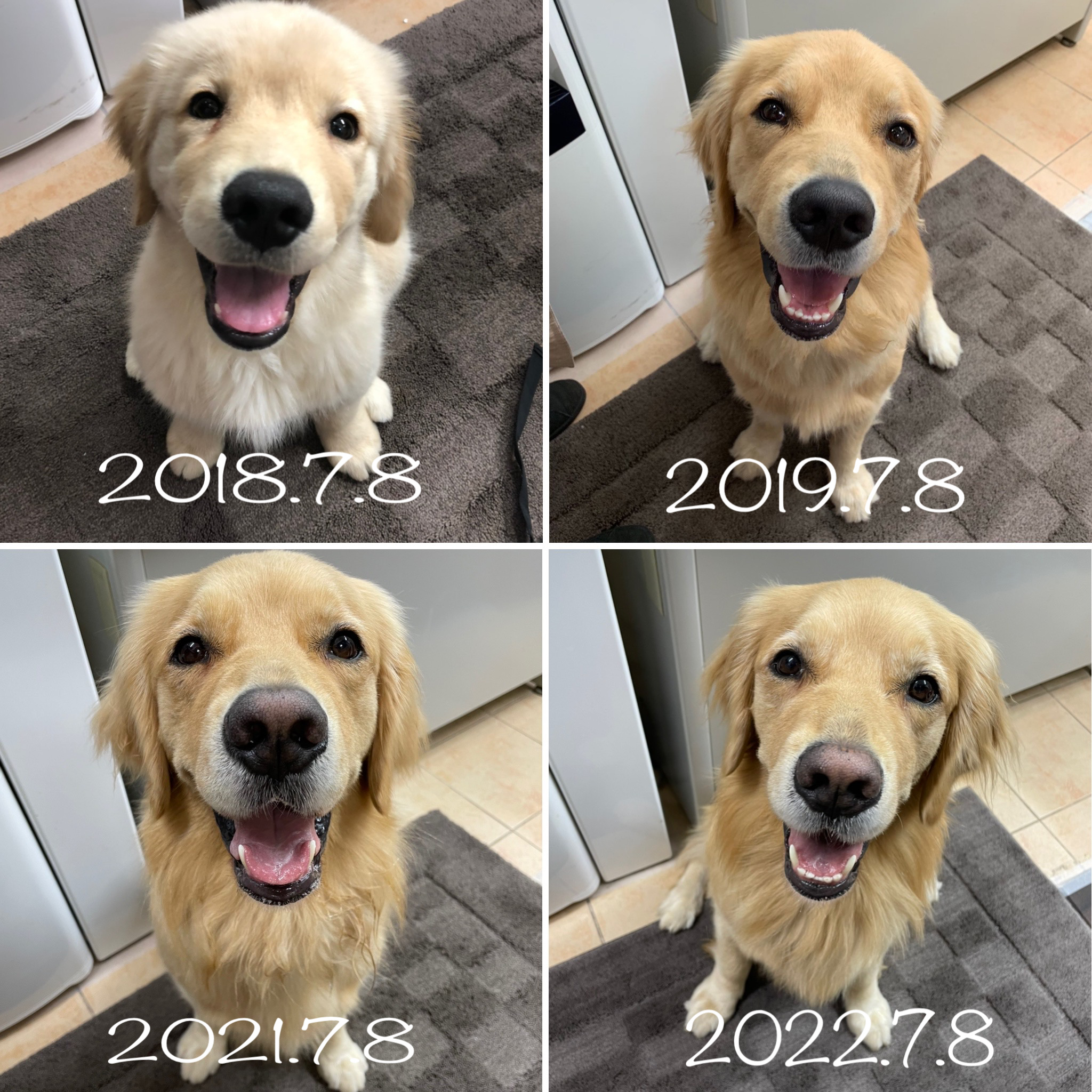 ファイル 8368-3.jpg