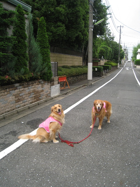 ファイル 837-2.jpg