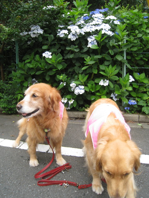 ファイル 837-3.jpg