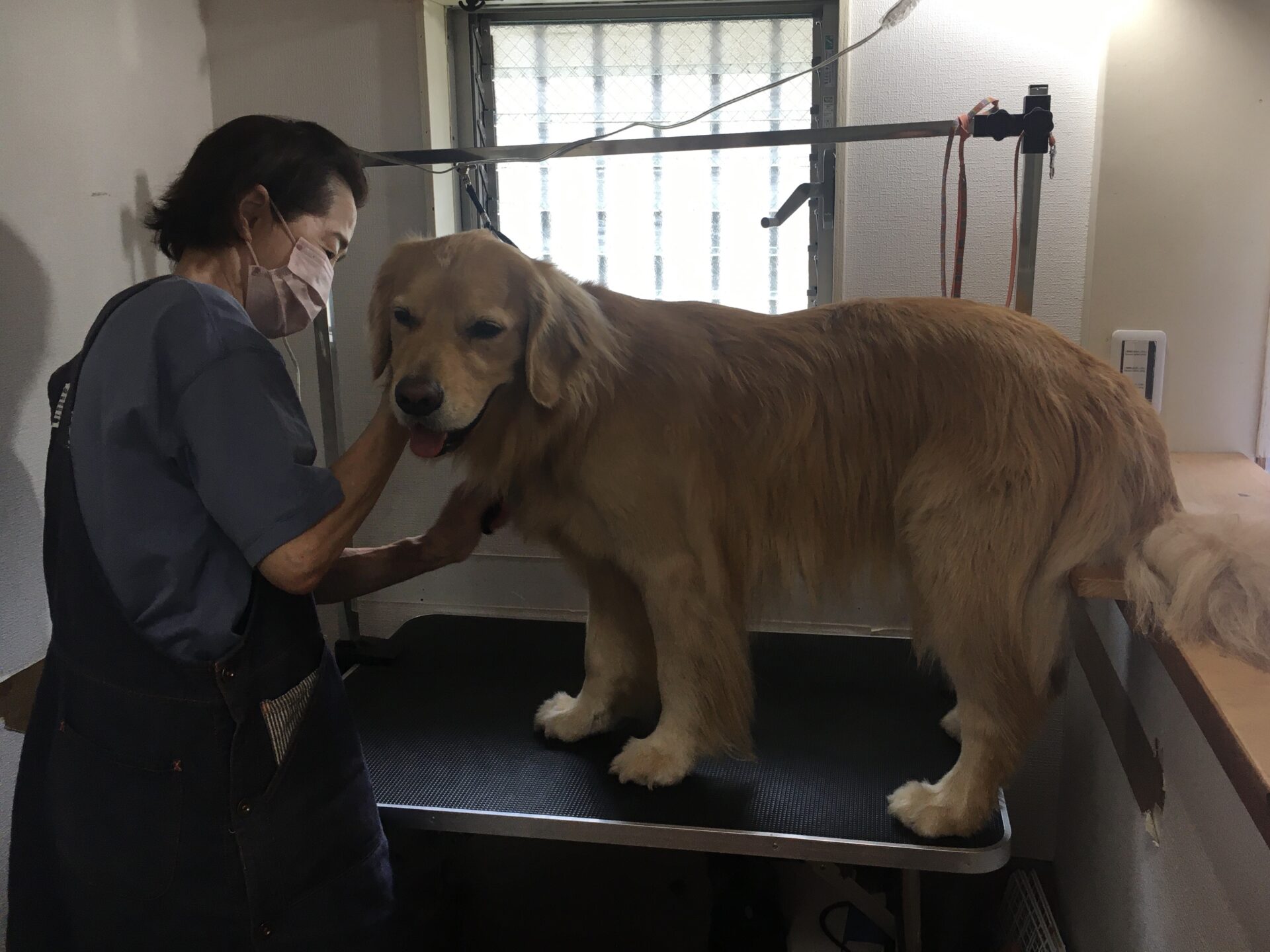 ファイル 8370-5.jpeg