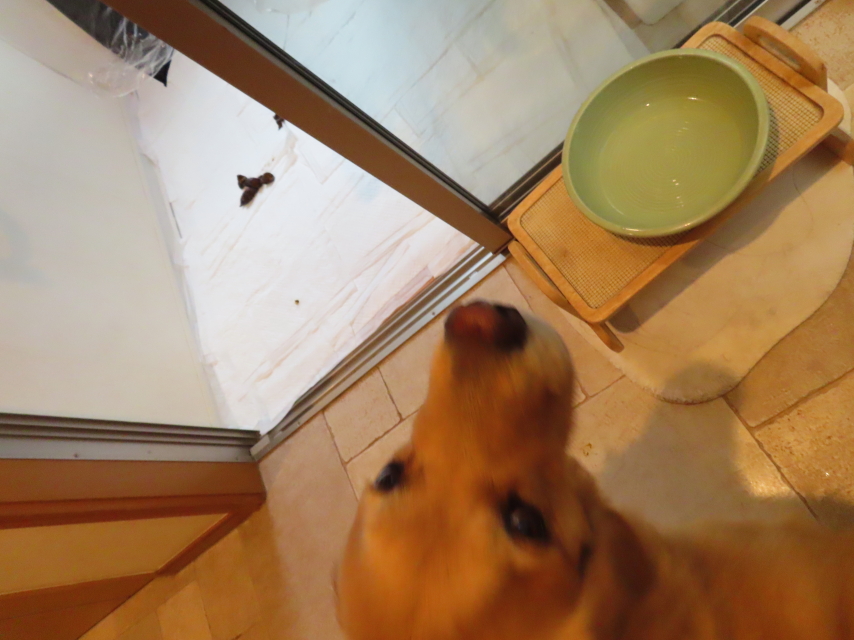 ファイル 8372-3.jpg