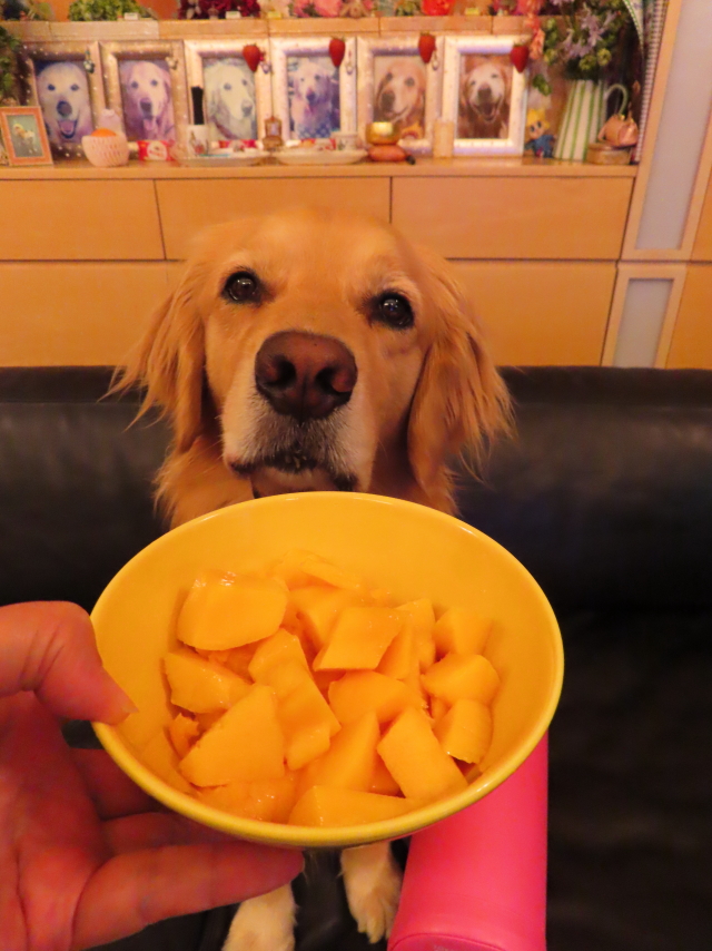 ファイル 8372-4.jpg