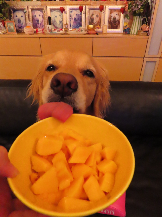 ファイル 8372-5.jpg