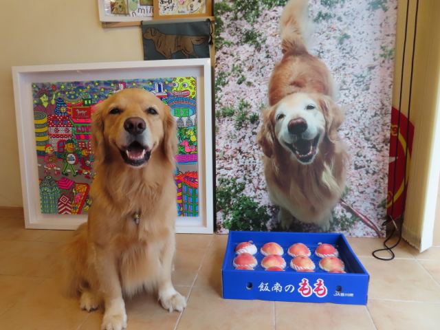 ファイル 8374-1.jpg