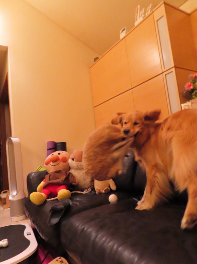 ファイル 8375-2.jpg