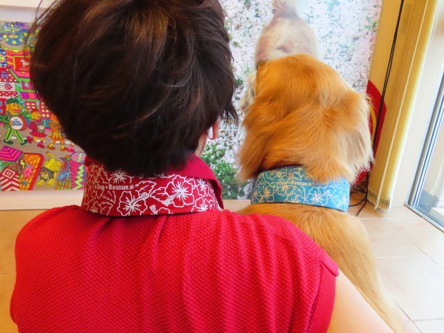 ファイル 8375-3.jpg