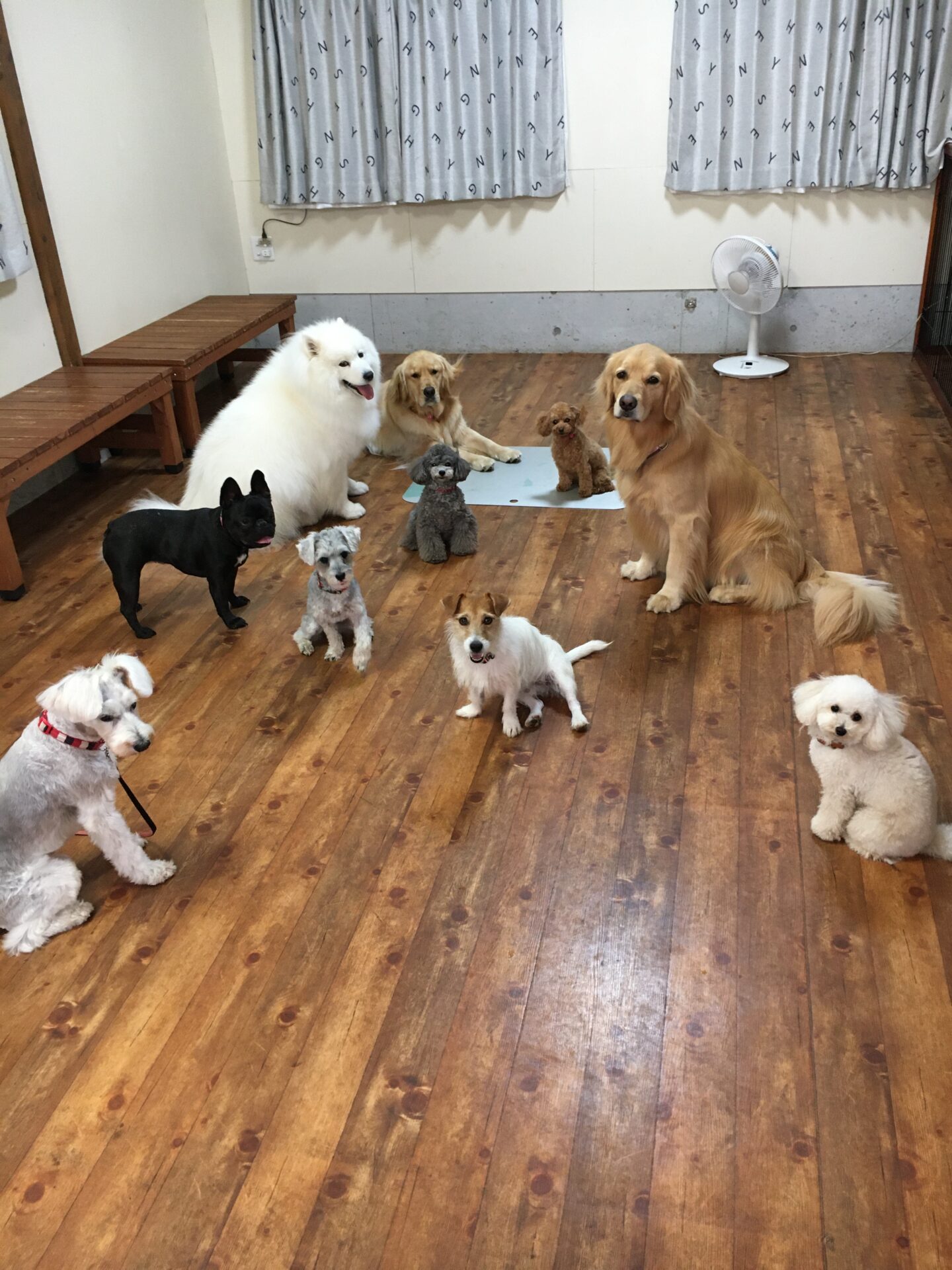 ファイル 8376-2.jpeg