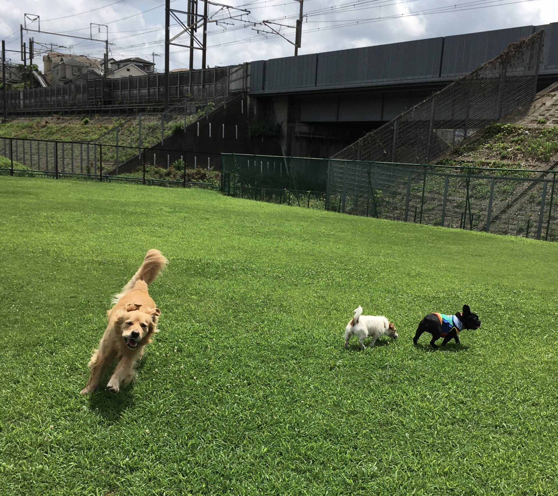 ファイル 8376-3.jpeg