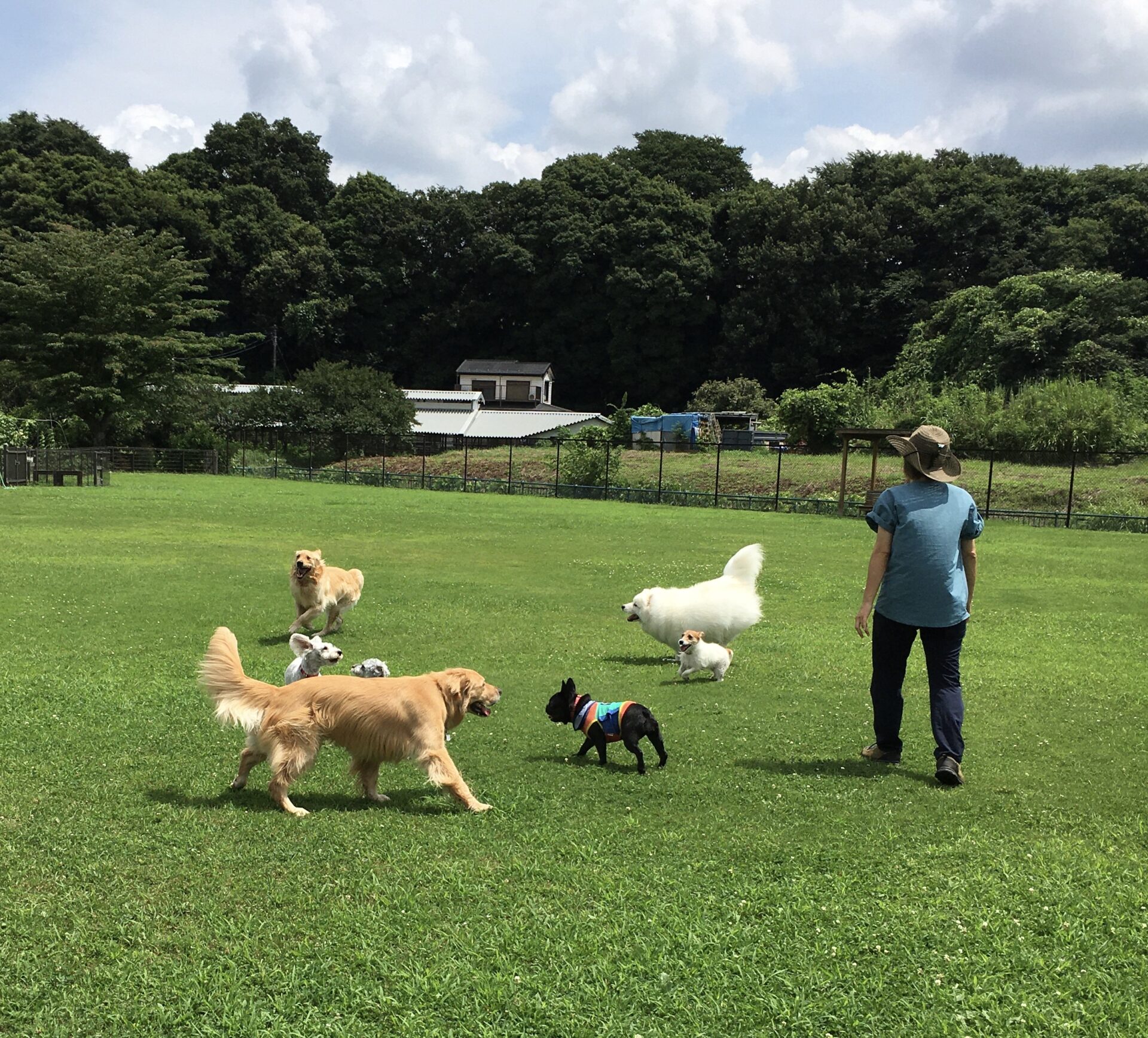 ファイル 8376-5.jpeg