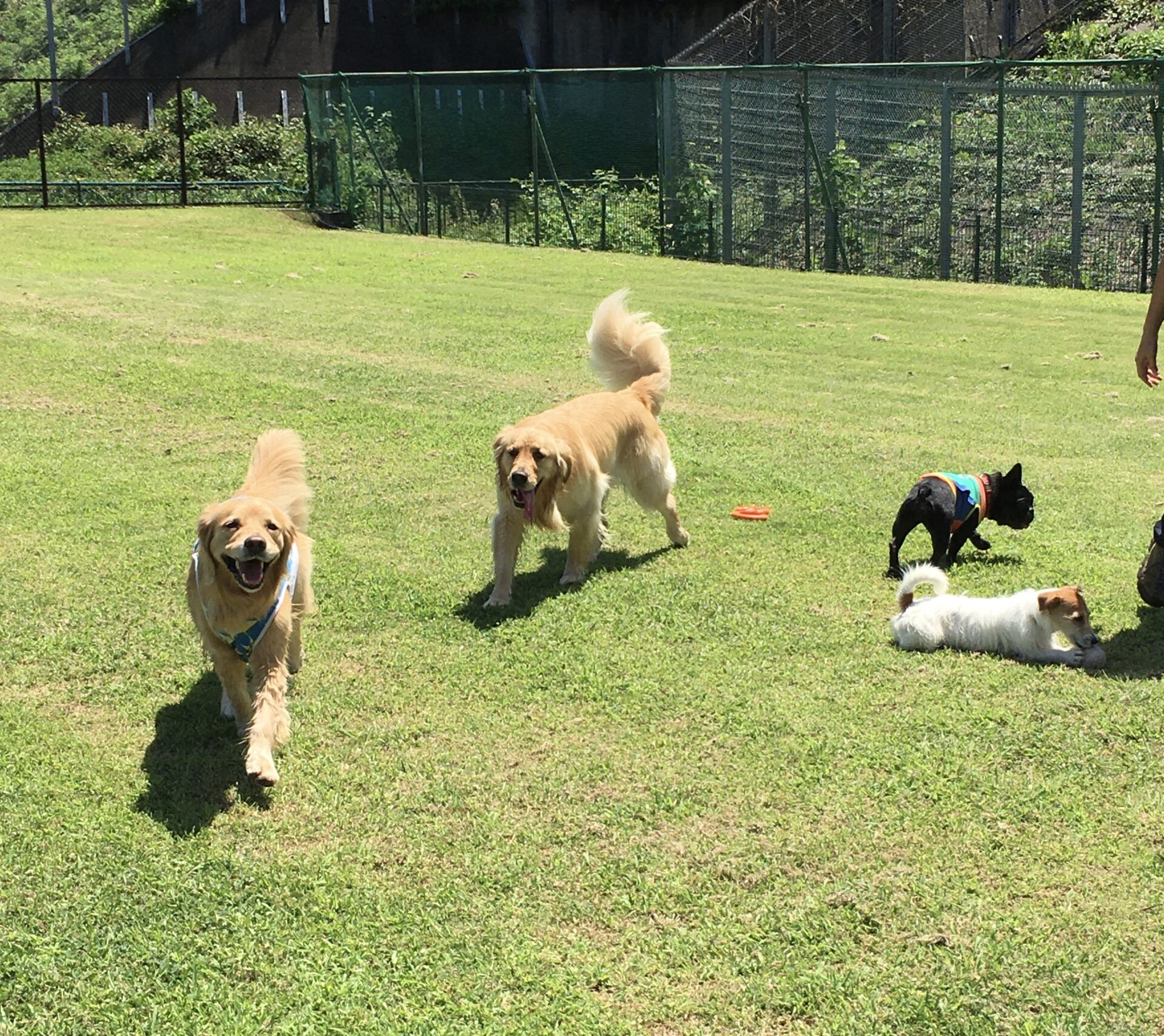 ファイル 8379-1.jpeg