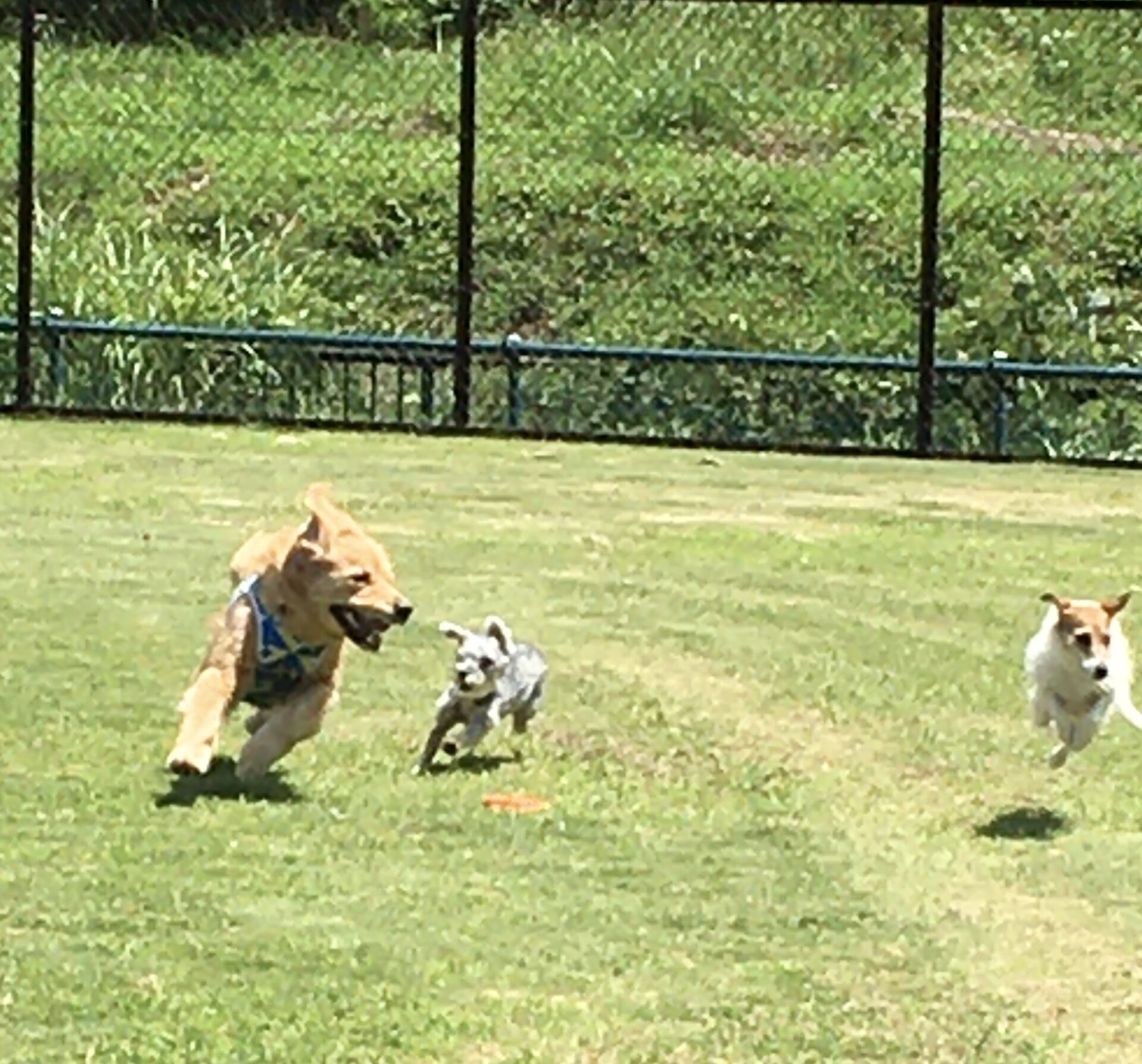 ファイル 8379-2.jpeg