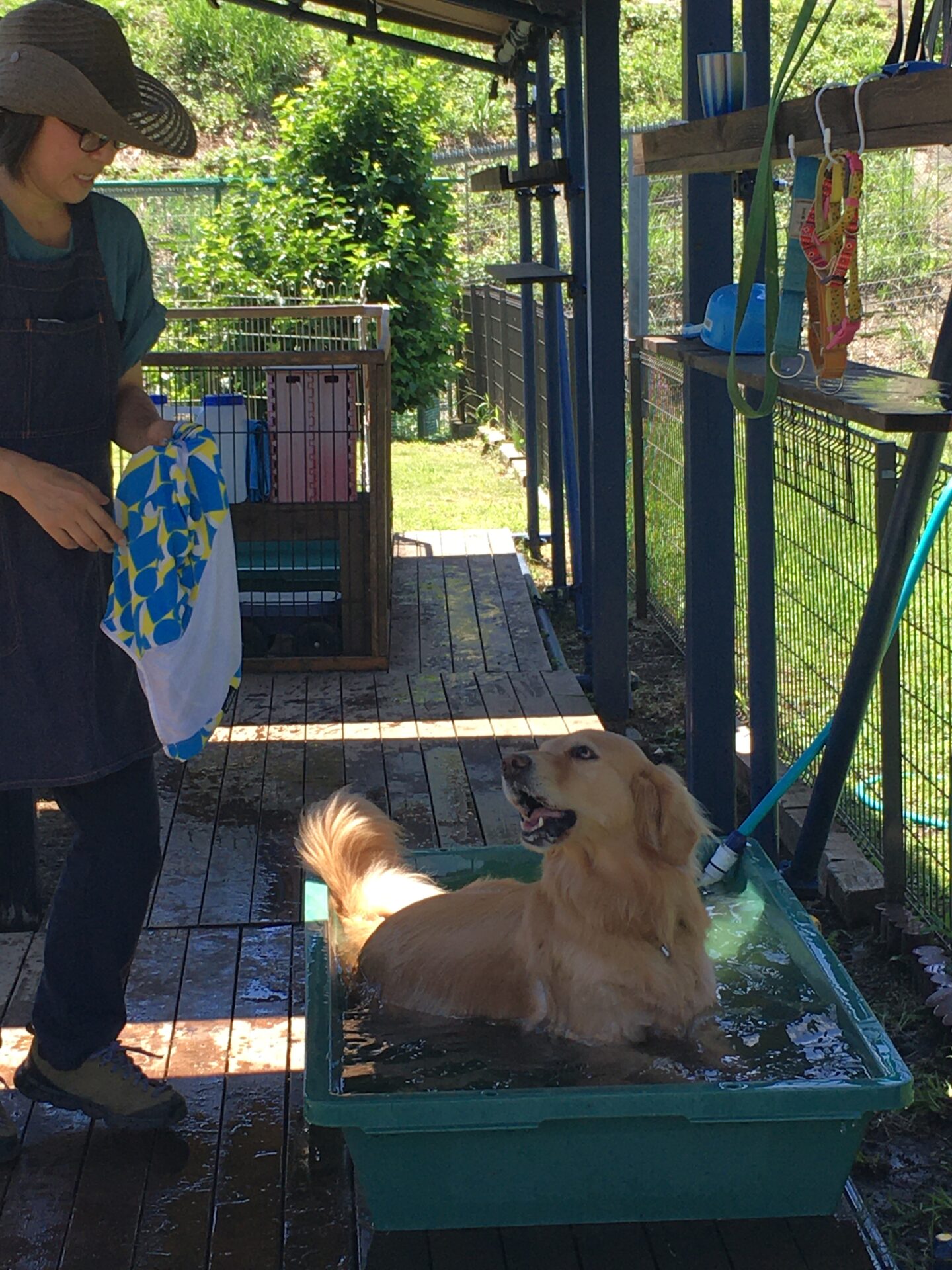 ファイル 8379-5.jpeg