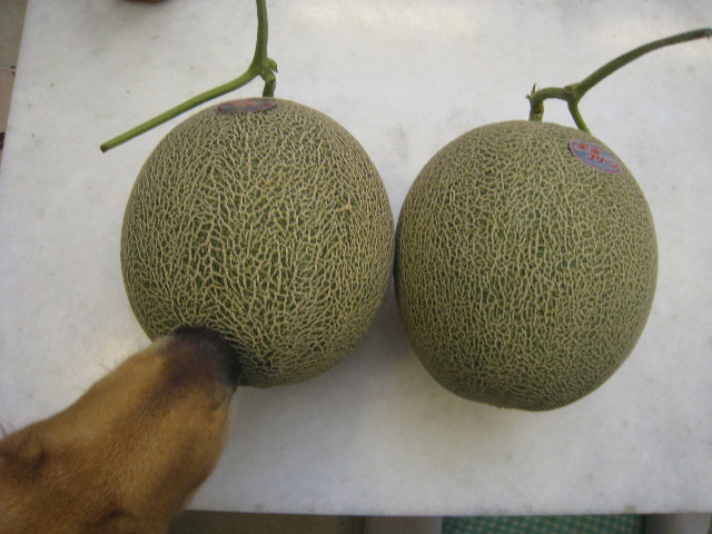 ファイル 838-1.jpg