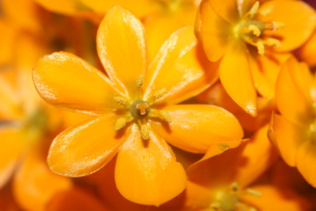 ファイル 838-2.jpg