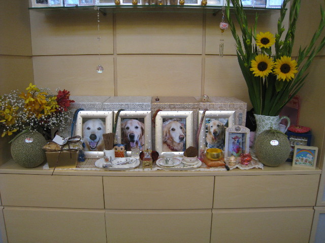 ファイル 838-3.jpg