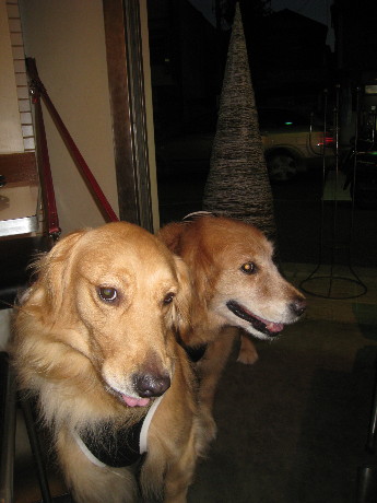 ファイル 838-5.jpg