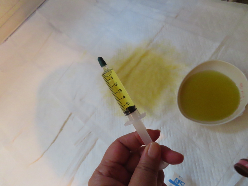 ファイル 8380-1.jpg