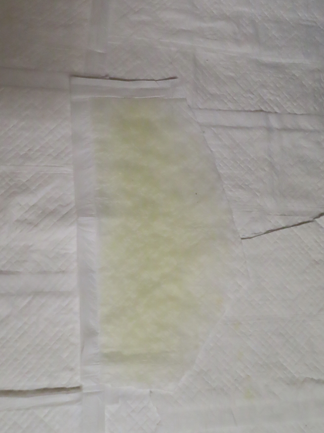 ファイル 8380-2.jpg