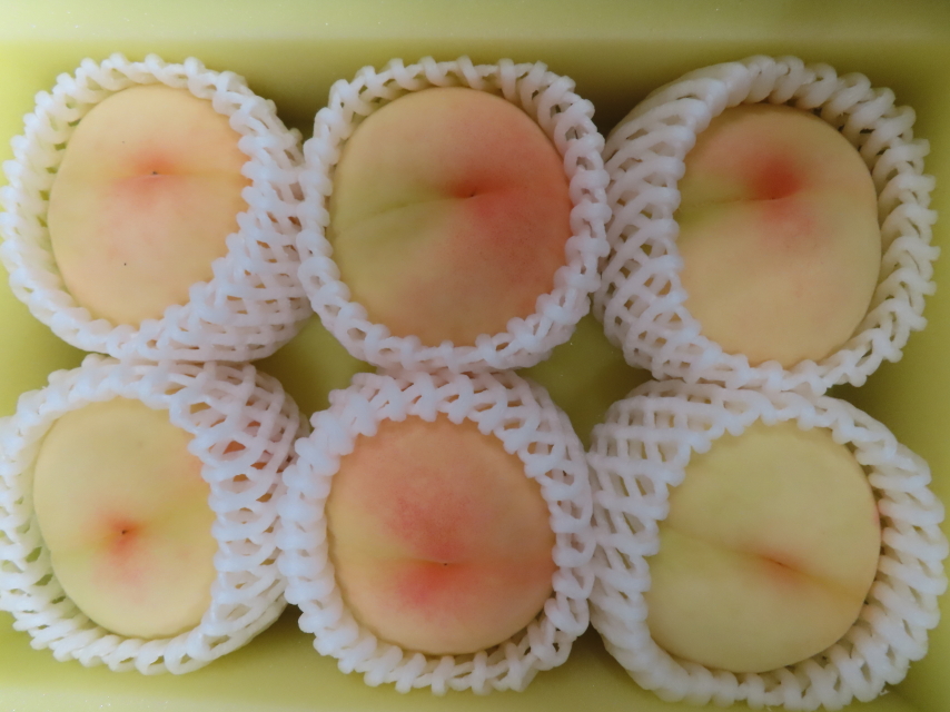 ファイル 8381-1.jpg