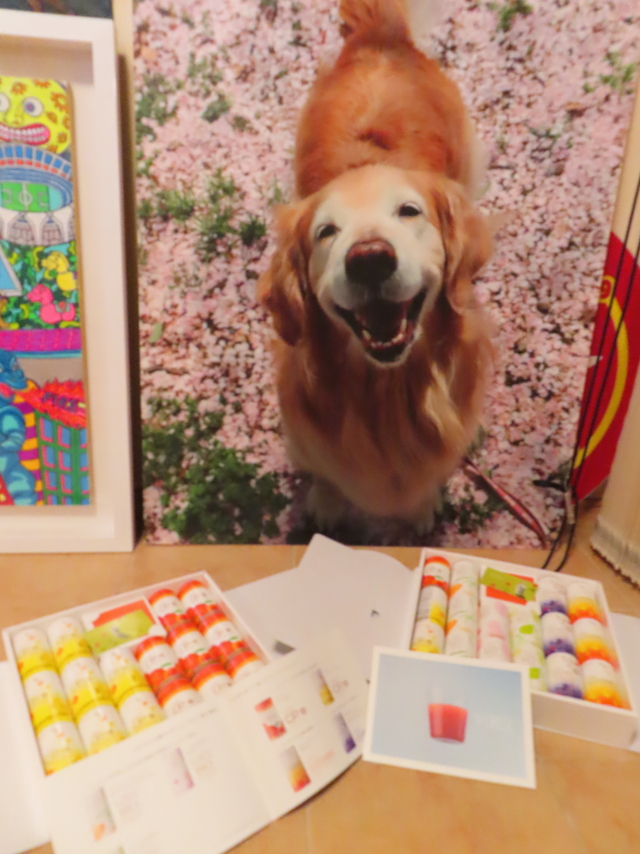 ファイル 8381-4.jpg