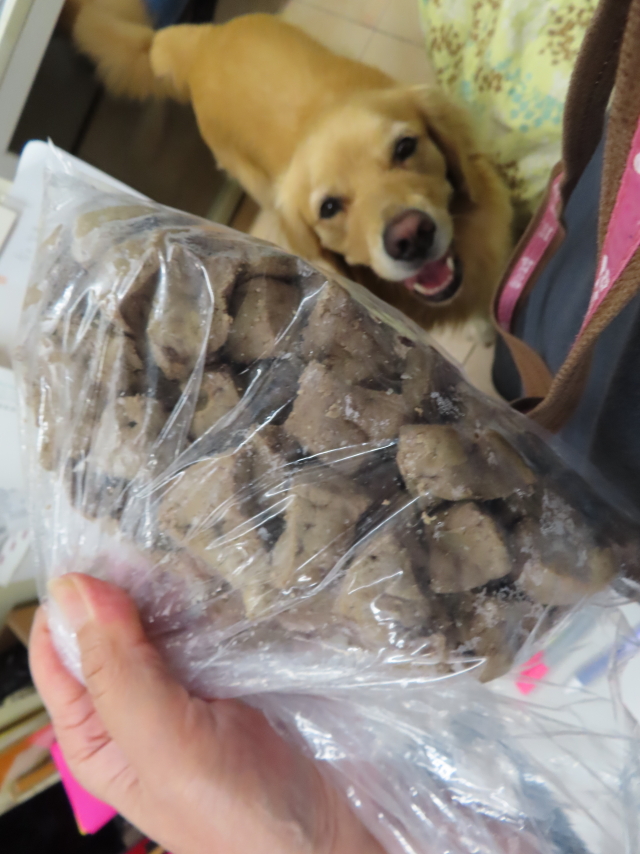 ファイル 8381-5.jpg