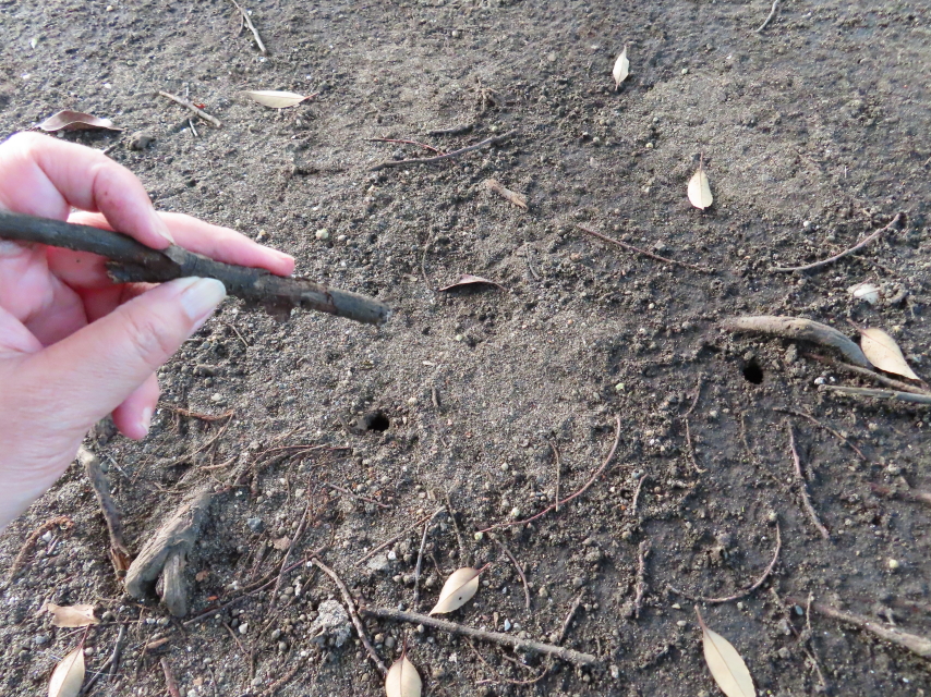 ファイル 8382-1.jpg