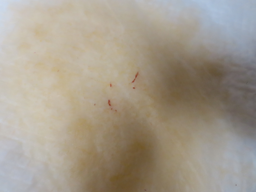 ファイル 8383-2.jpg