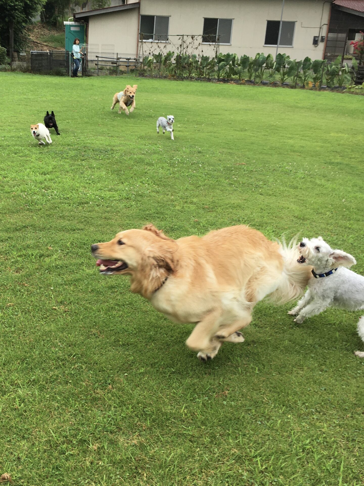 ファイル 8384-1.jpeg